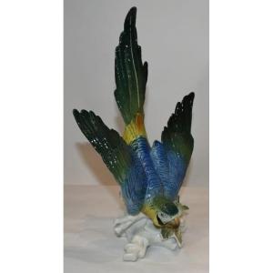 Porcelain Parrot E.n.s 1940
